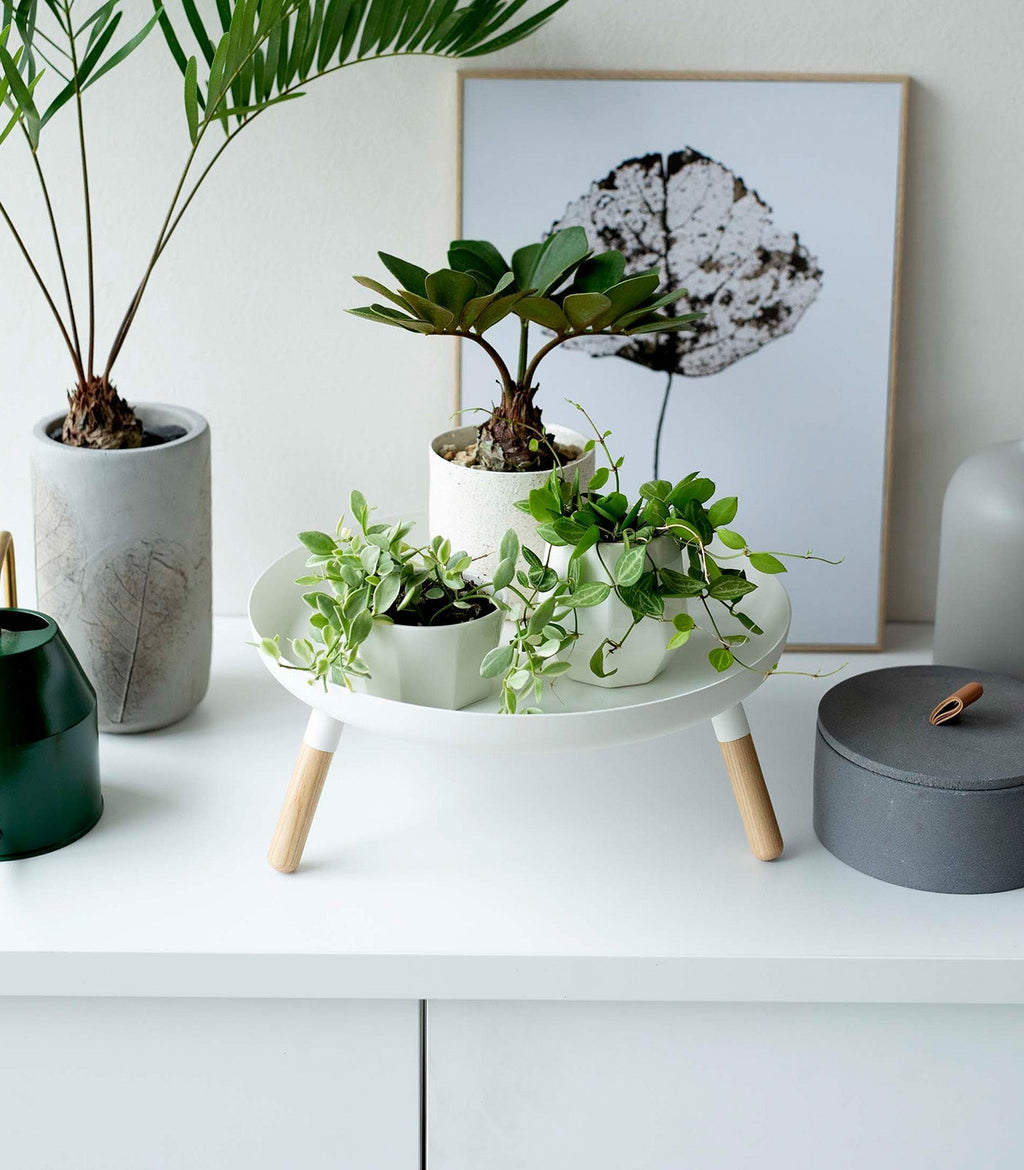 Countertop Pedestal Tray (5" H)  - Steel + Wood