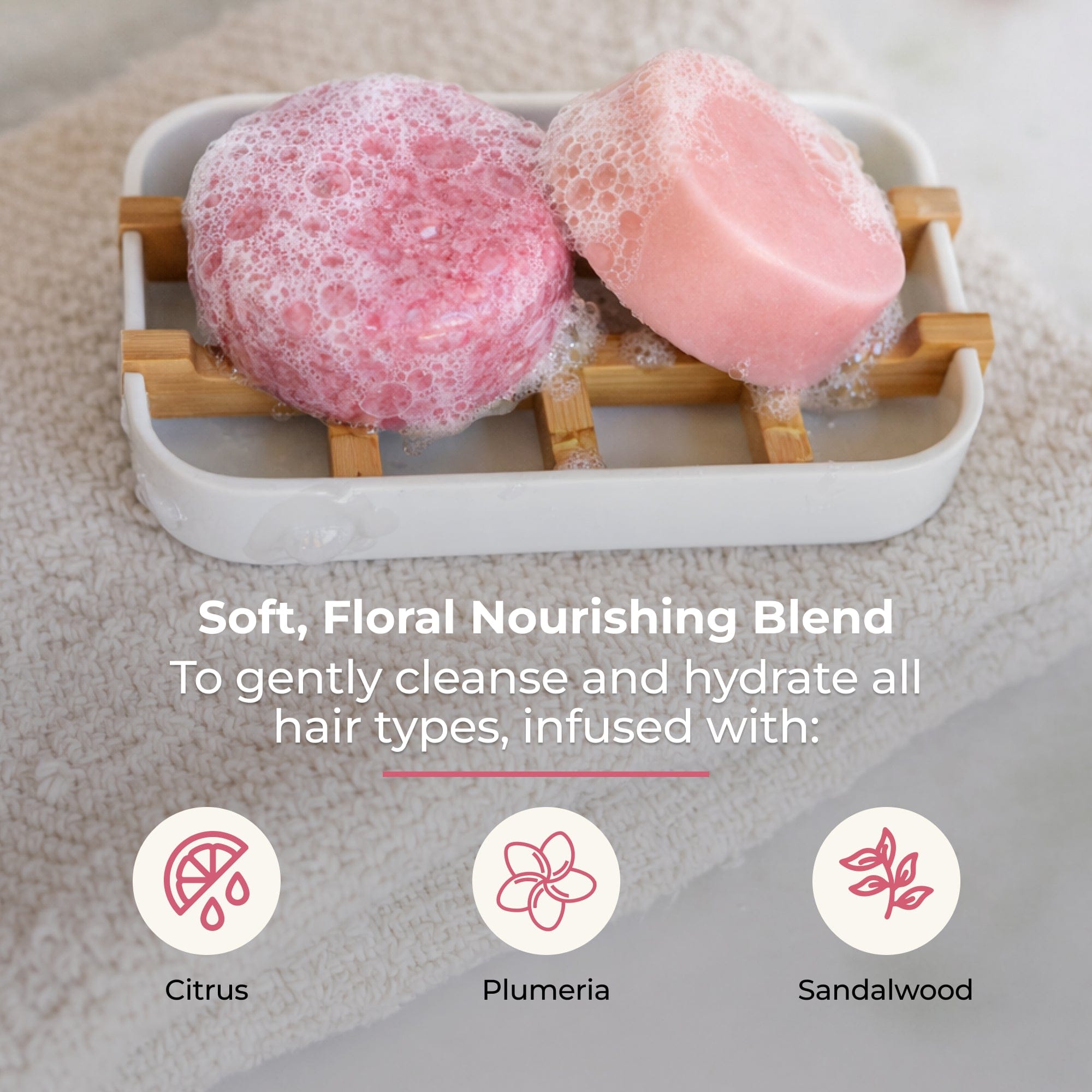 Shampoo & Conditioner Bar Duo