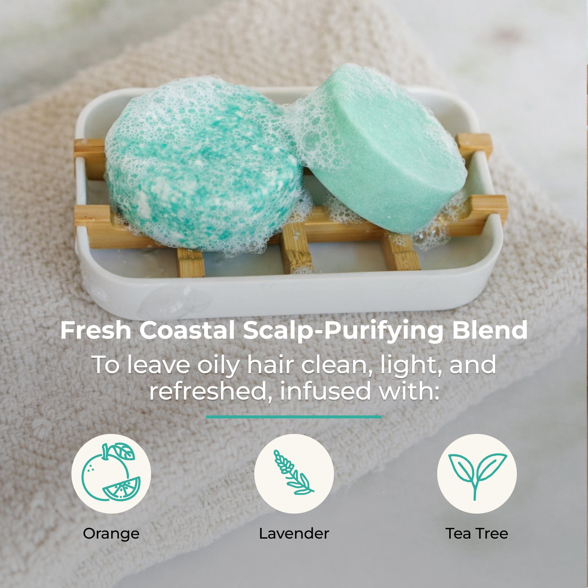 Shampoo & Conditioner Bar Duo