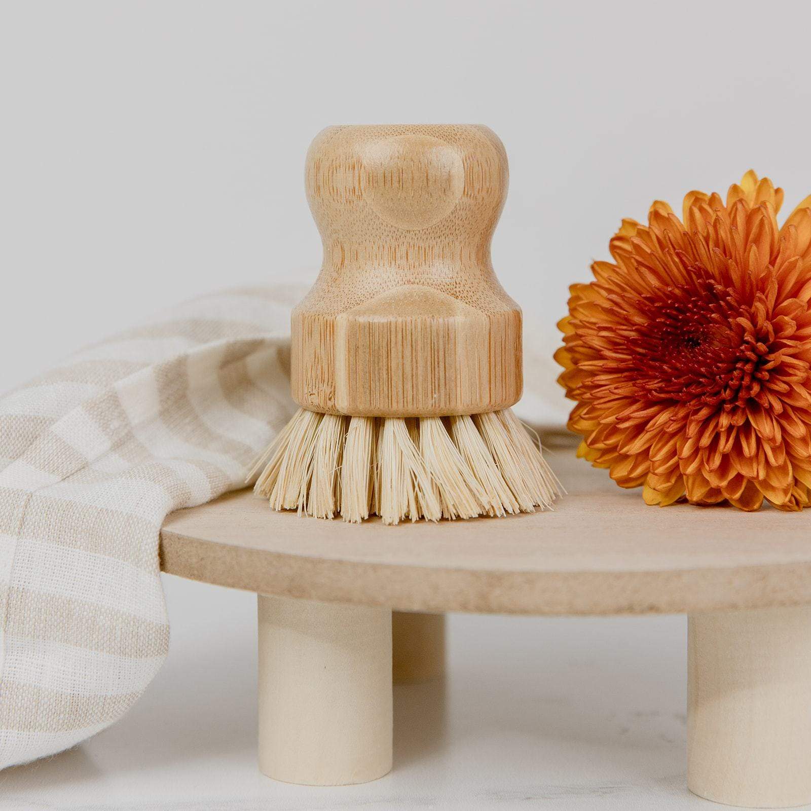 Dish Brush