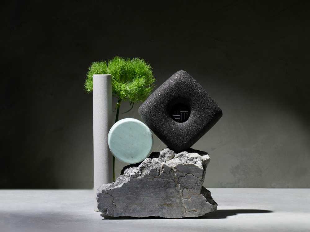 The Ionic Dish Sponge
